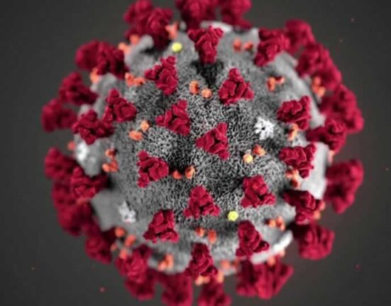 covid 19 coronavirus