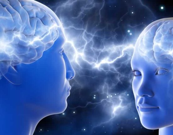 cerebro humano reptil