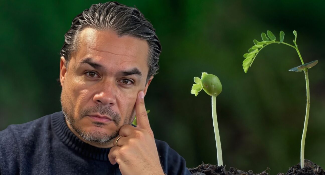 Crecimiento contante