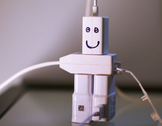 el arte de adaptarse